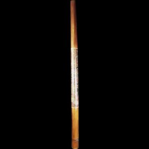 20th Century Australian Didgeridoo With Aboriginal Art