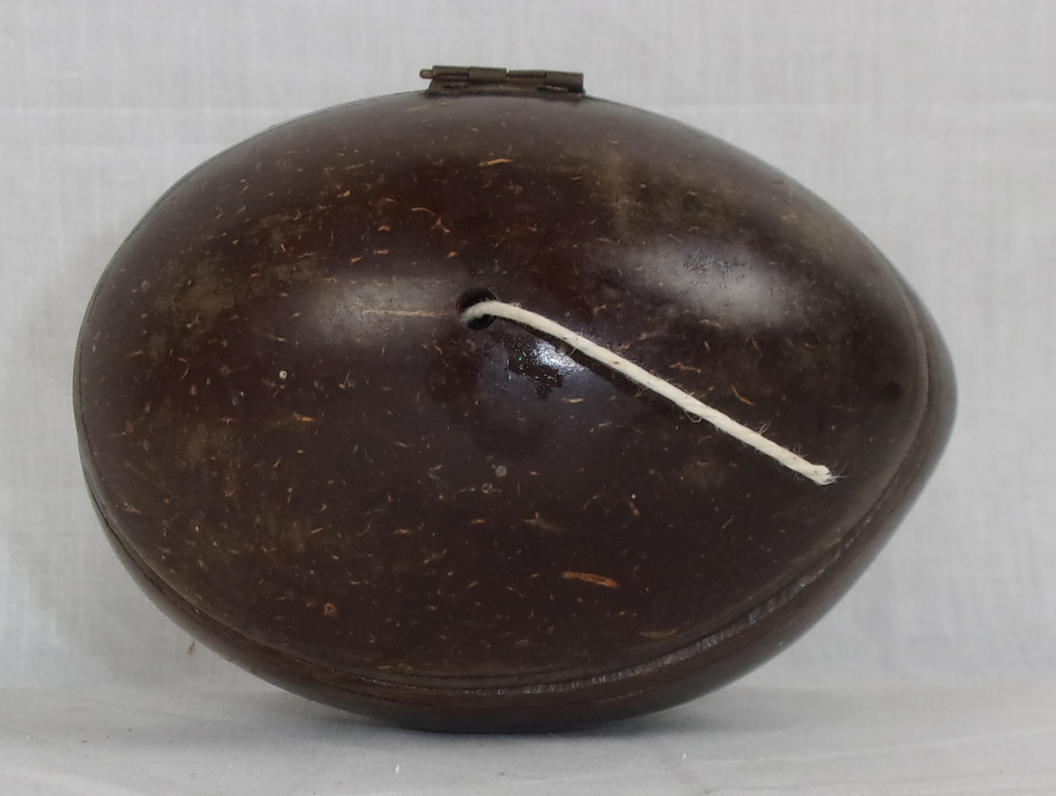 19th Century Coconut Shell String Box - Image 3