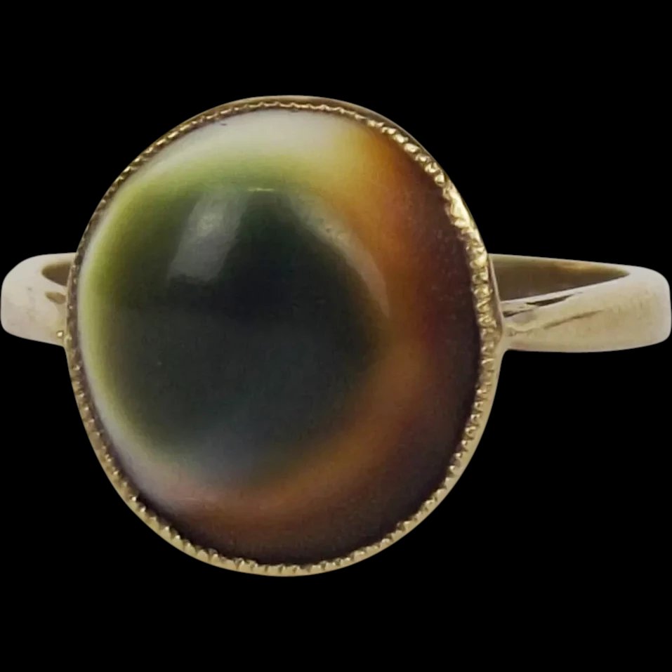 9ct Yellow Gold Shell Ring UK Size Q+ US 8 ¼