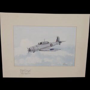 Blackburn Skua Acrylic Painting (Signed By WW2 Pilot) By Robert Bearman