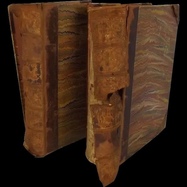 The Book of Days - Robert Chambers - 2 Vols