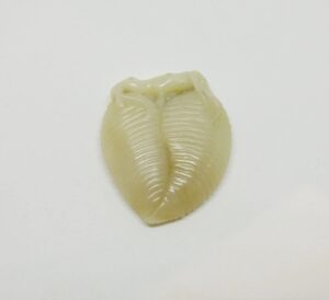 Chinese Qing Dynasty Nephrite Jade Carving Of Fruit