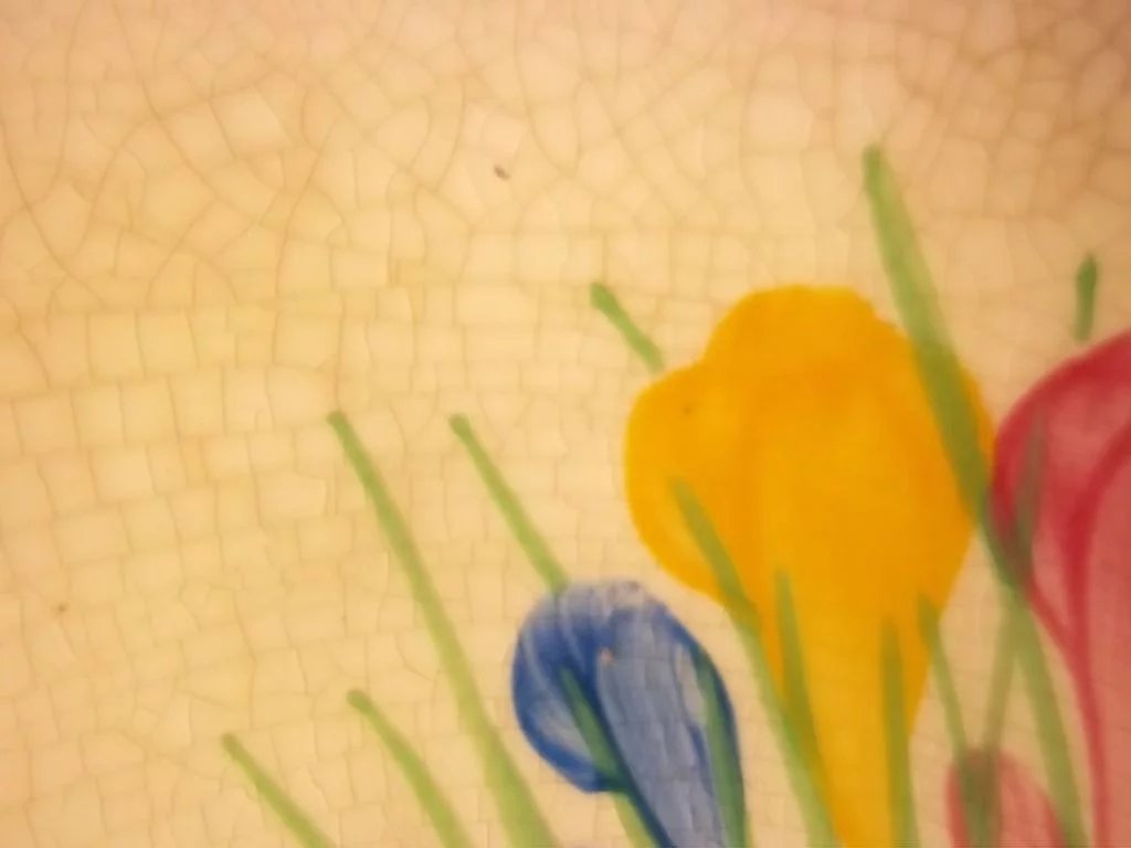 Clarice Cliff Royal Staffordshire "Crocus" Sandwich Plate #2* - Image 6