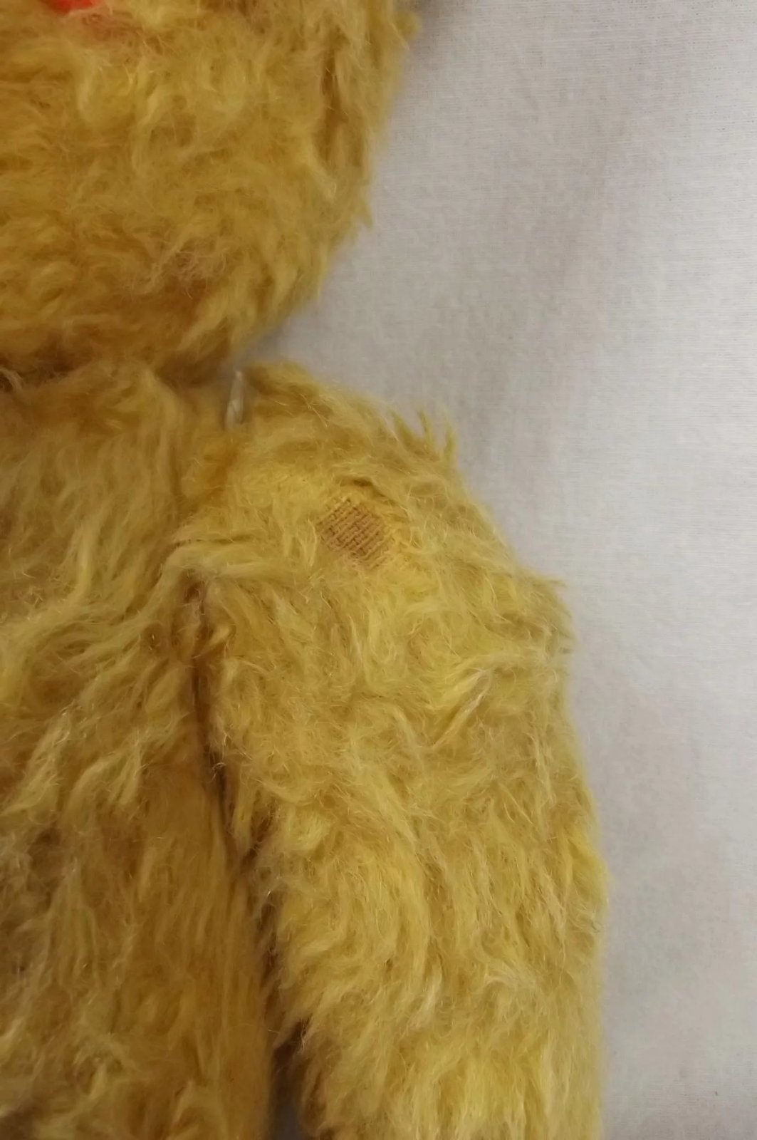 Edwardian Musical Teddy Bear - Image 4
