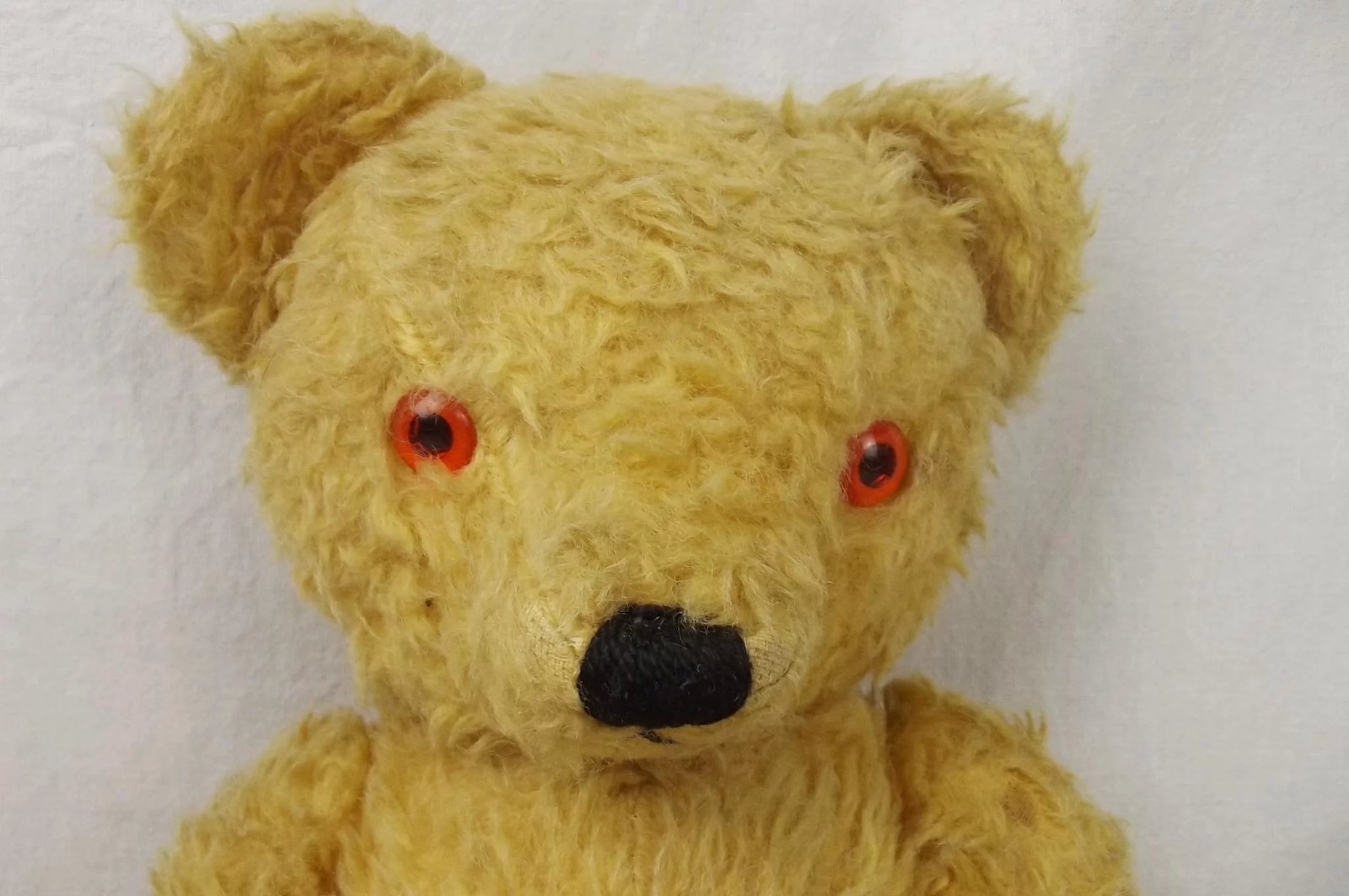 Edwardian Musical Teddy Bear - Image 5