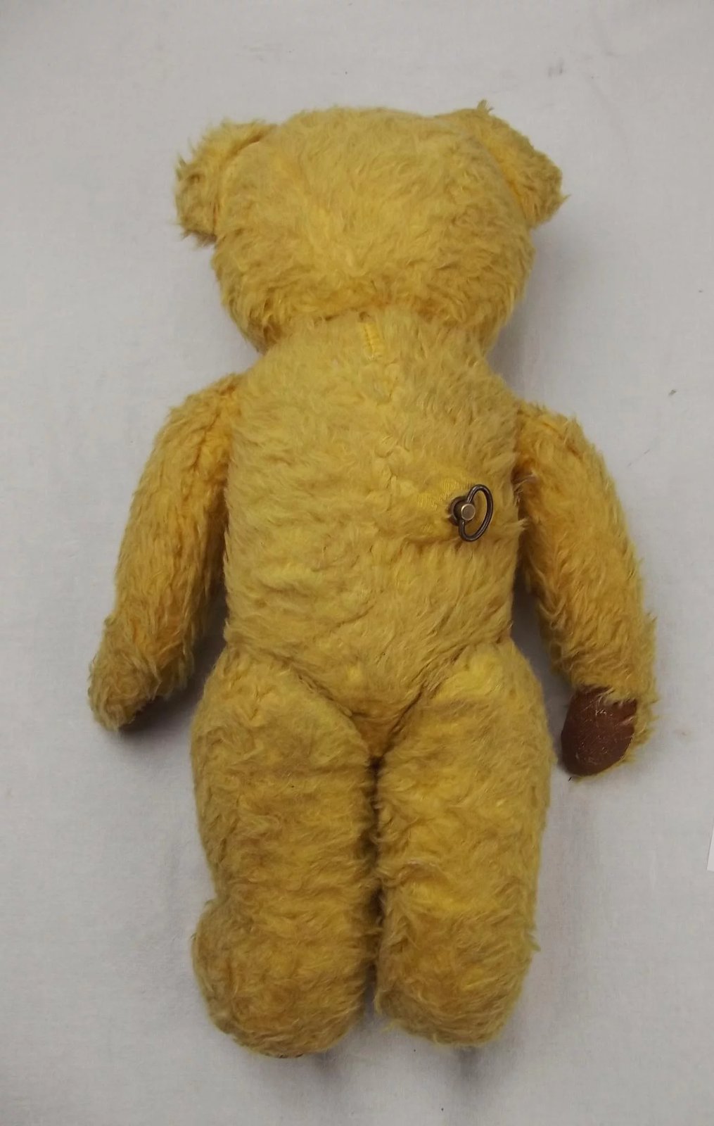 Edwardian Musical Teddy Bear - Image 7