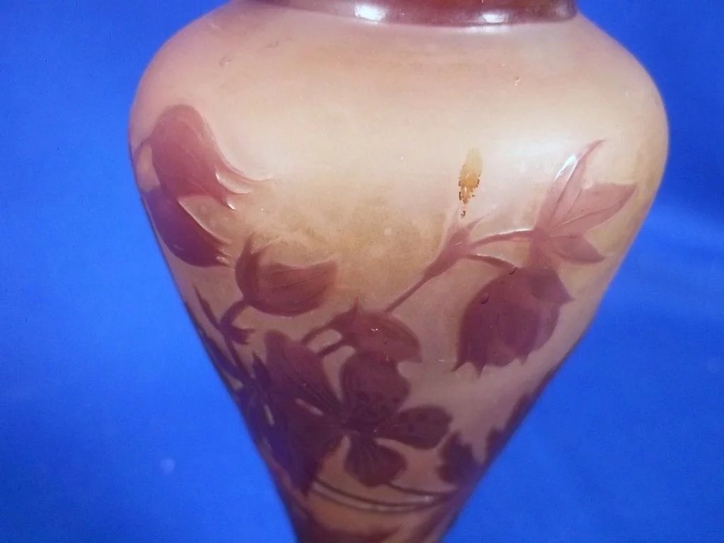 Emile Gallé (1846-1904) Cameo Glass Vase With Wild Floral Decoration - Image 4
