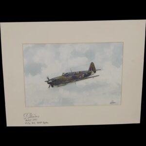 Fairey Firefly Acrylic Painting (Signed By WW2 Pilot) By Robert Bearman