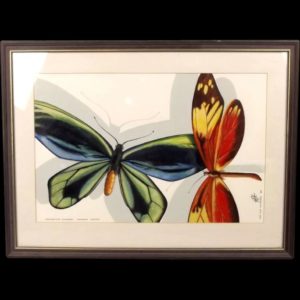 Gouche Painting Of Tropical Butterflies By Jan Olof Fellström, BA