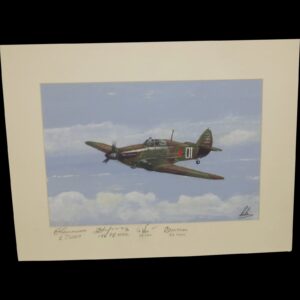 Hawker Hurricane Acyrilc Painting (Signed By 4 Russian WW2 Pilots) By Robert Bearman
