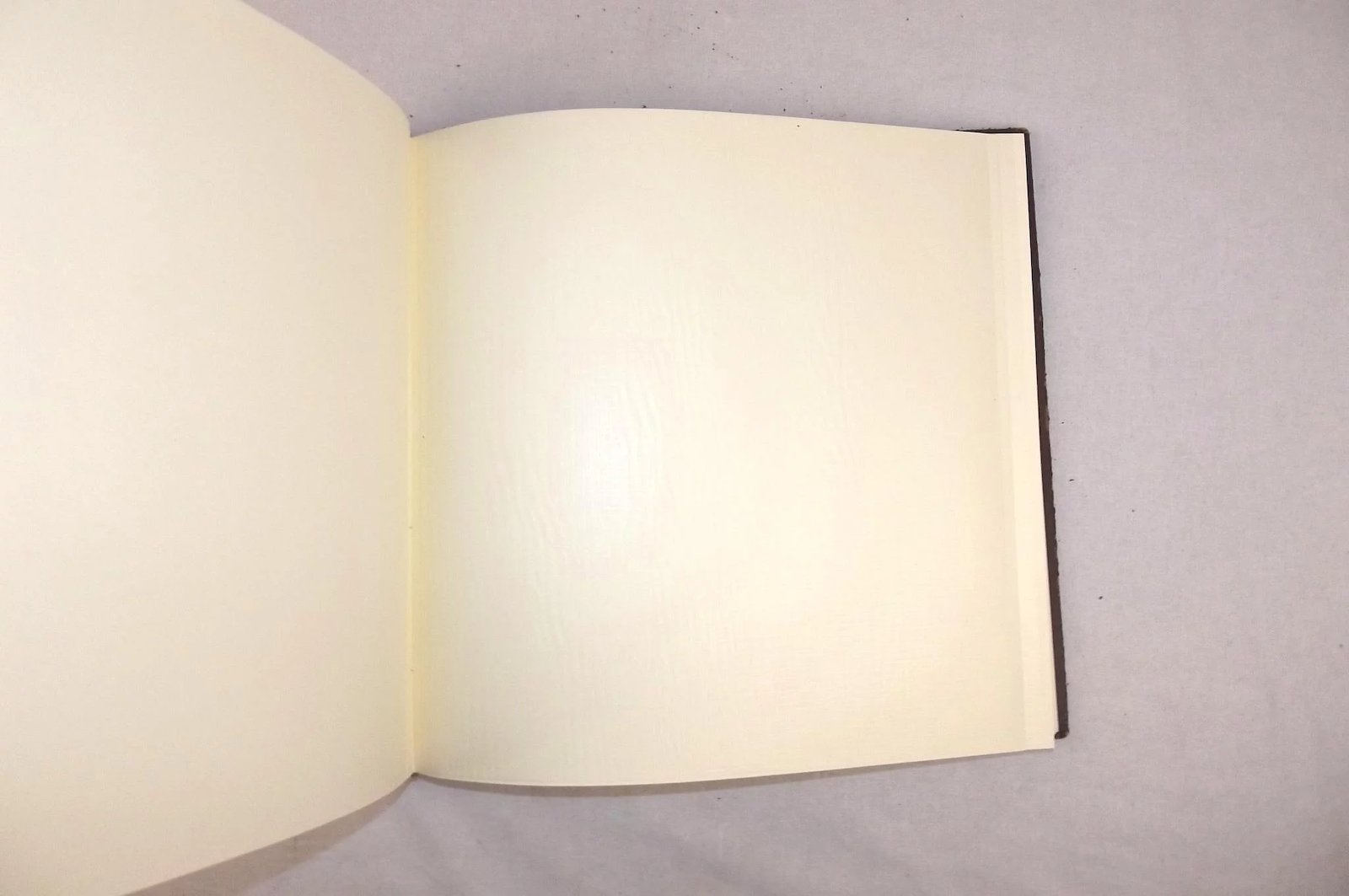 Late Victorian Unused Antique Photo Album With Silver Decor - Image 9