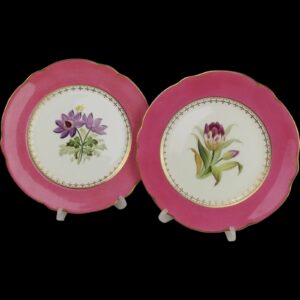 Pair Of Mid 19th Century Coalport Cabinet Botanical Plates