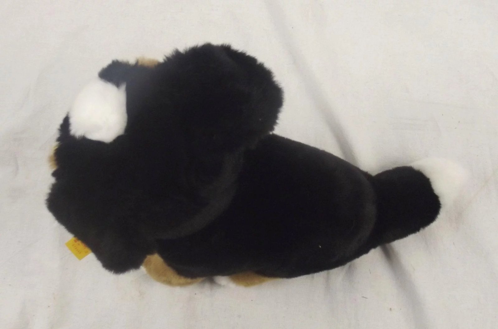 Steiff Teddy Taffy Puppy Dog - Image 6