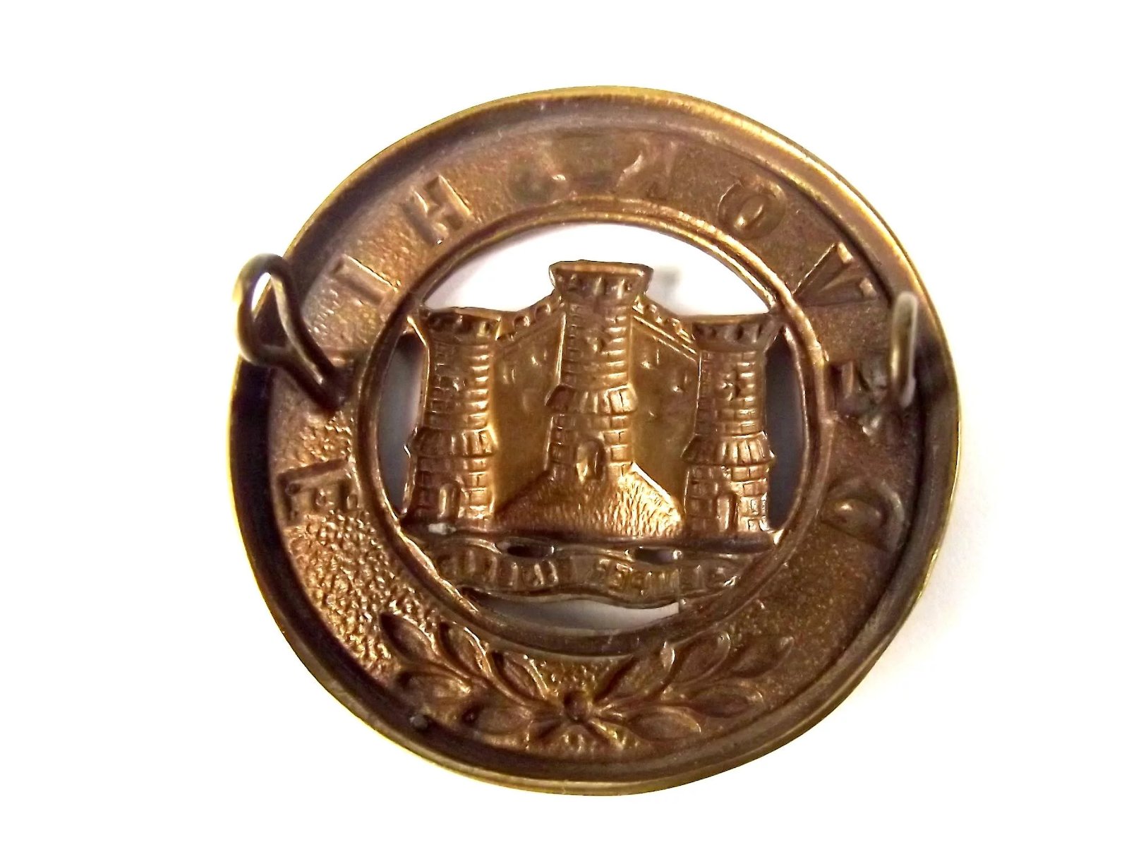 Victorian Devonshire Regiment Helmet Plate - Image 3