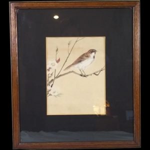 A Victorian Watercolour Of A Bird On Cherry Blossom