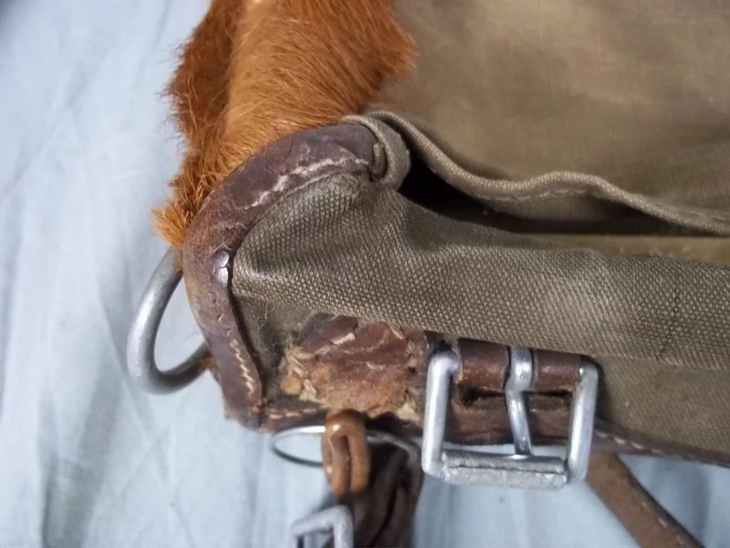 WW2 German Pony Fur Model 1934 Tournister Backpack Dated 1936 - Image 8