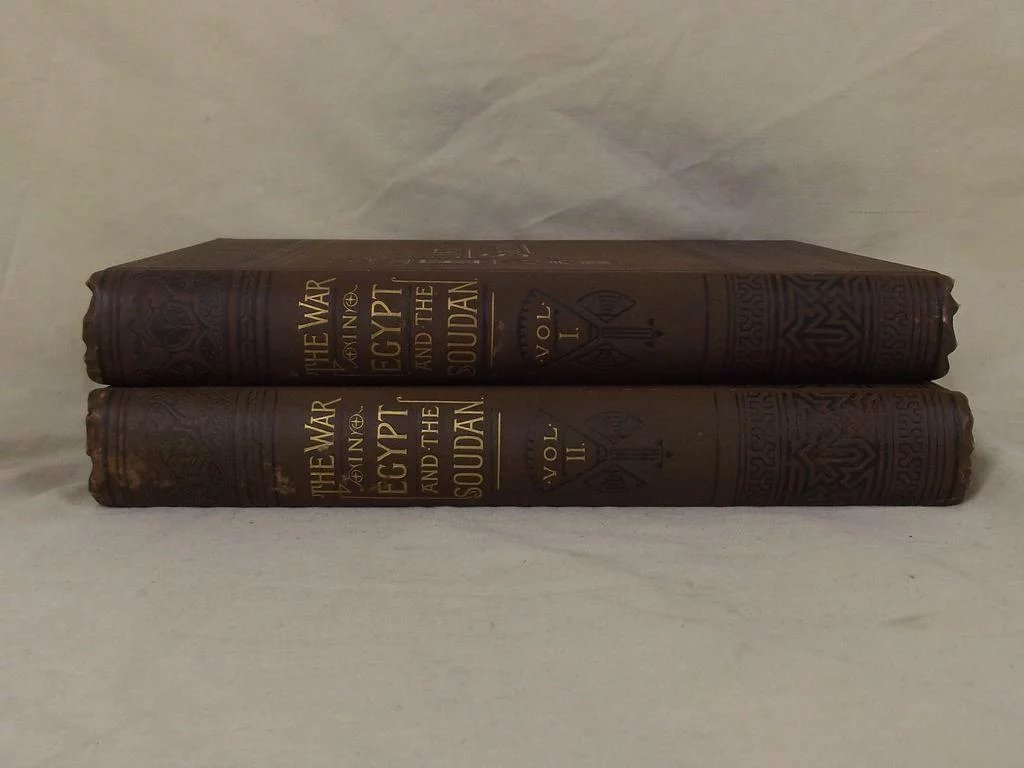 The War In Egypt And The Soudan By Thomas Archer, 2 Volumes - Image 2