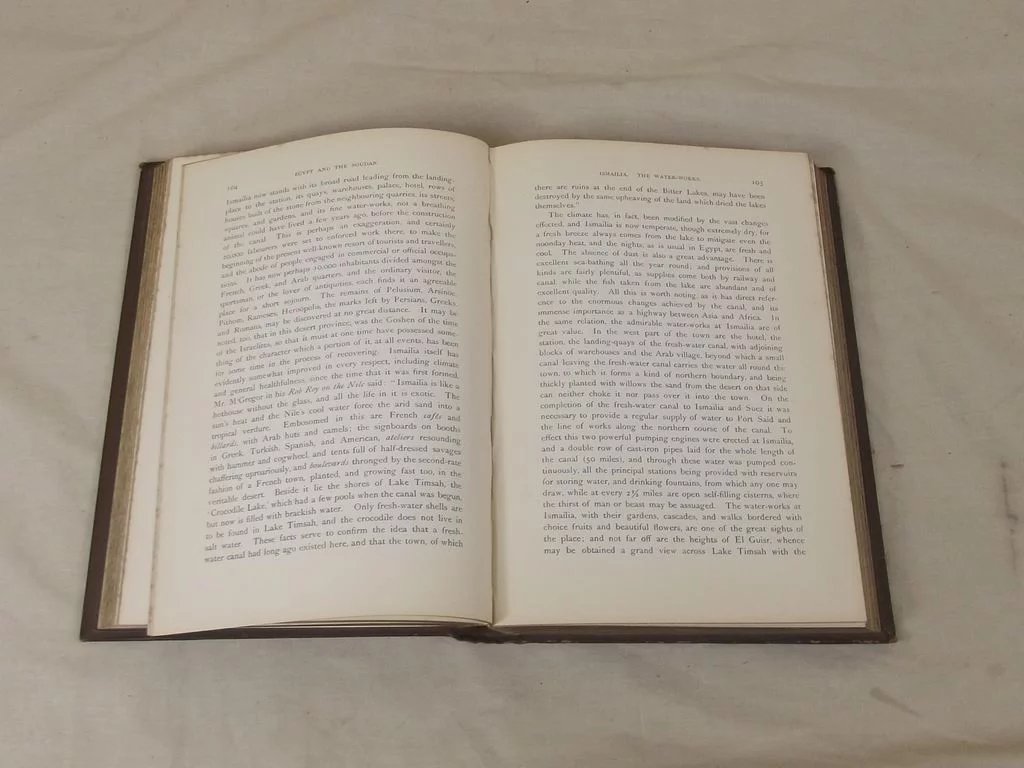 The War In Egypt And The Soudan By Thomas Archer, 2 Volumes - Image 3