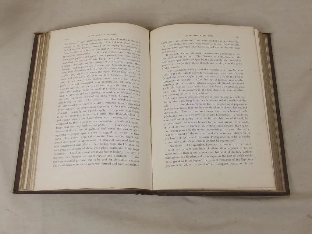The War In Egypt And The Soudan By Thomas Archer, 2 Volumes - Image 4