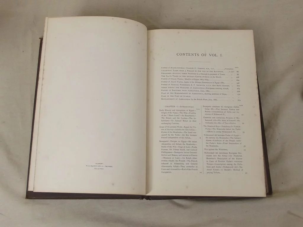 The War In Egypt And The Soudan By Thomas Archer, 2 Volumes - Image 6