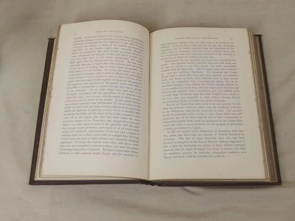 The War In Egypt And The Soudan By Thomas Archer, 2 Volumes - Image 8