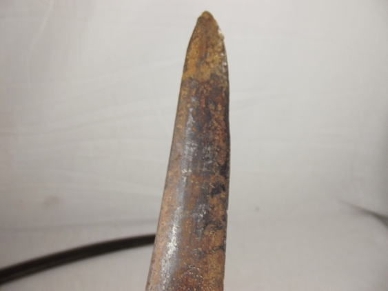 17th Century Circa 1840-1860 Talwar Sword - Image 12
