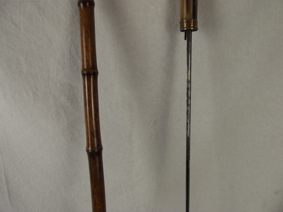 Early To Mid 19th Century Bird Head Sword Cane, Blued Blade - Image 7