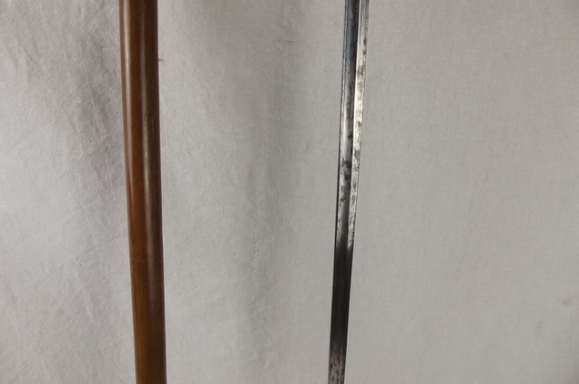 Late 19th Century Named Blue And Gilt Sword Cane - Image 4