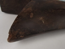 South Sea Island Hardwood Club - Image 18