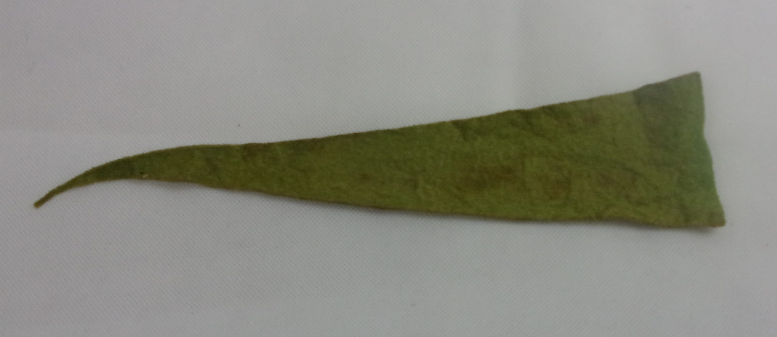 1914 Japanese Battleship Hiei Pennant - Image 2
