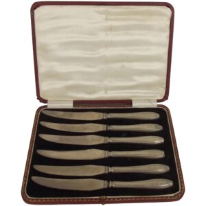 Cased Set Of Six Edwardian Fruit Knives With Silver Handles