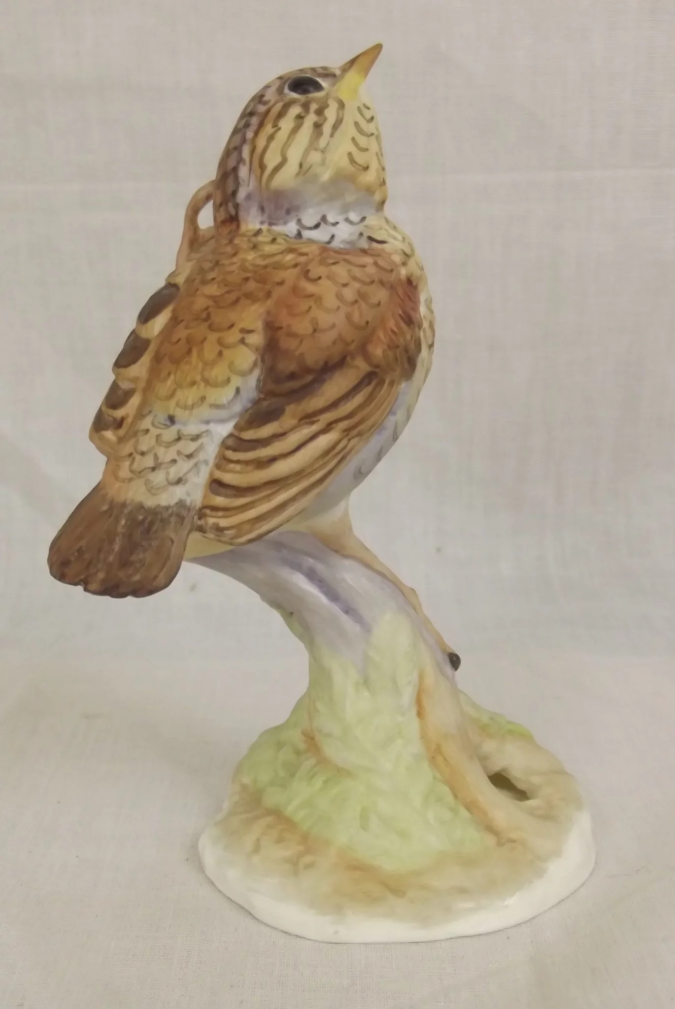 Royal Worcester Fledgling Robin Bird x1977 - Image 3
