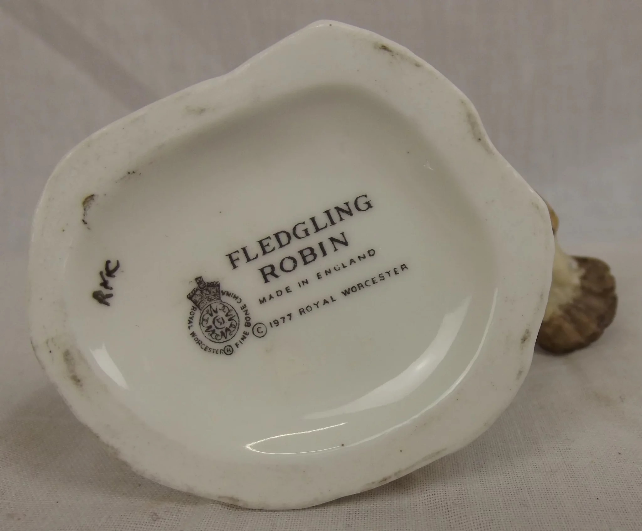 Royal Worcester Fledgling Robin Bird x1977 - Image 6