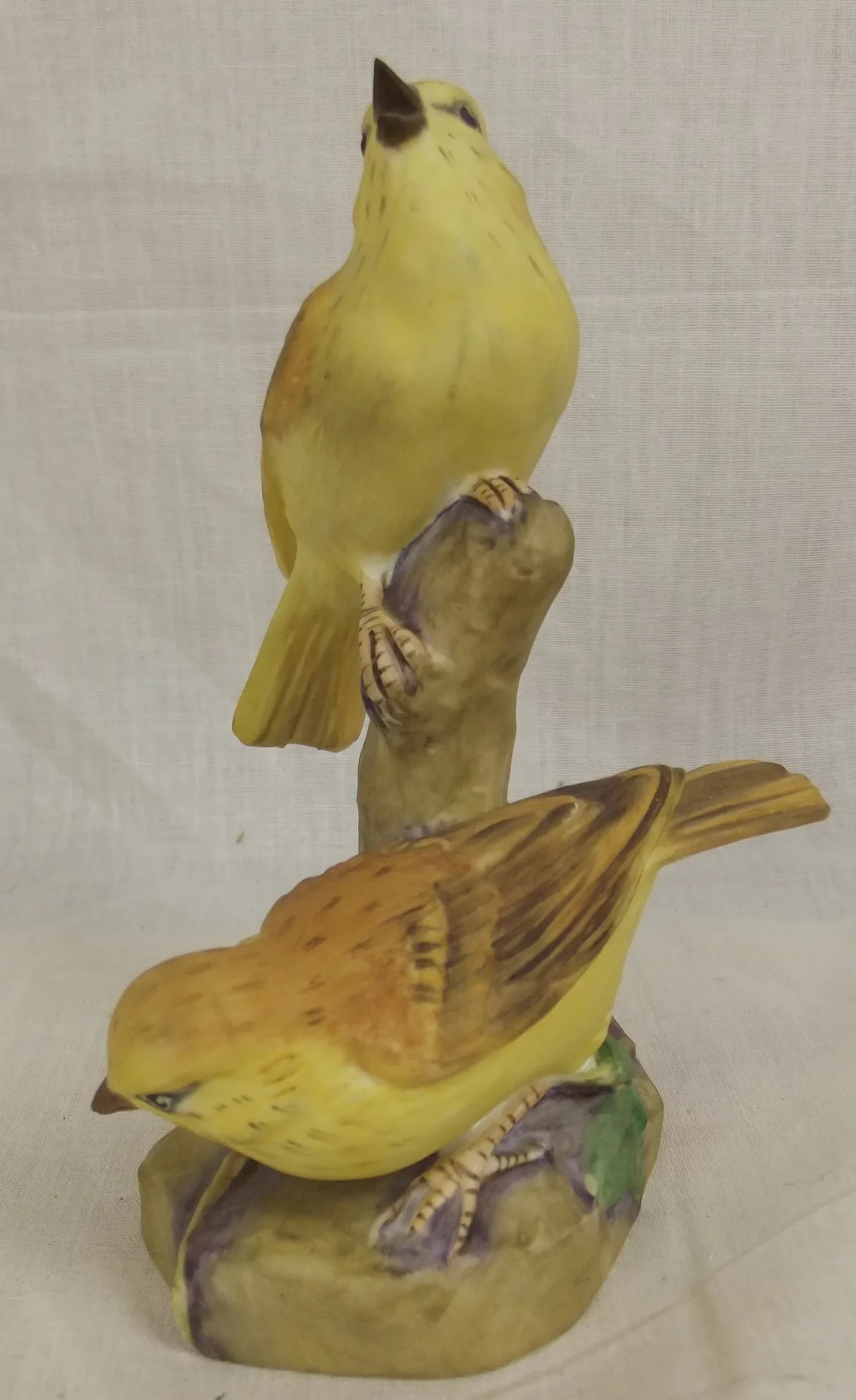 Royal Worcester Pair Of Yellow Hammer Birds x3377 - Image 2