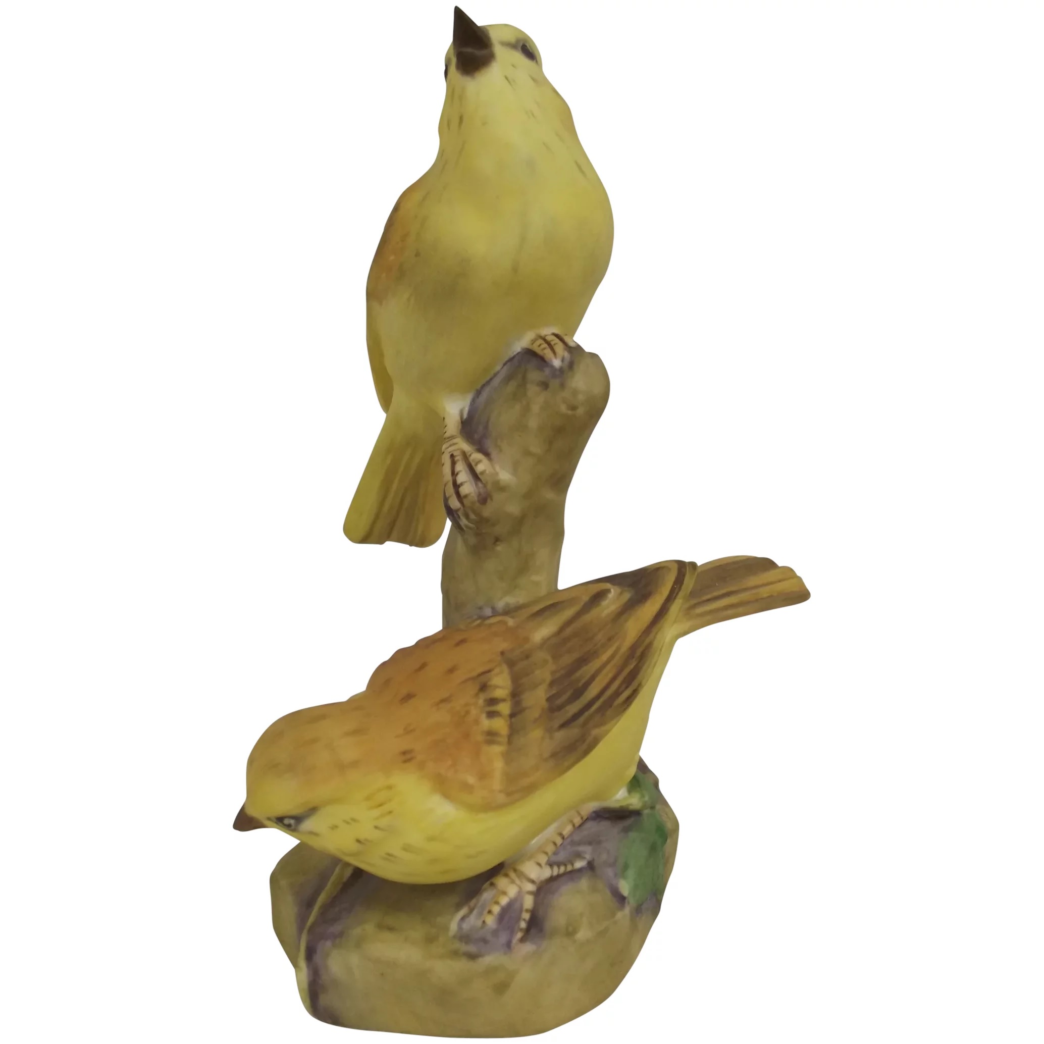 Royal Worcester Pair Of Yellow Hammer Birds x3377