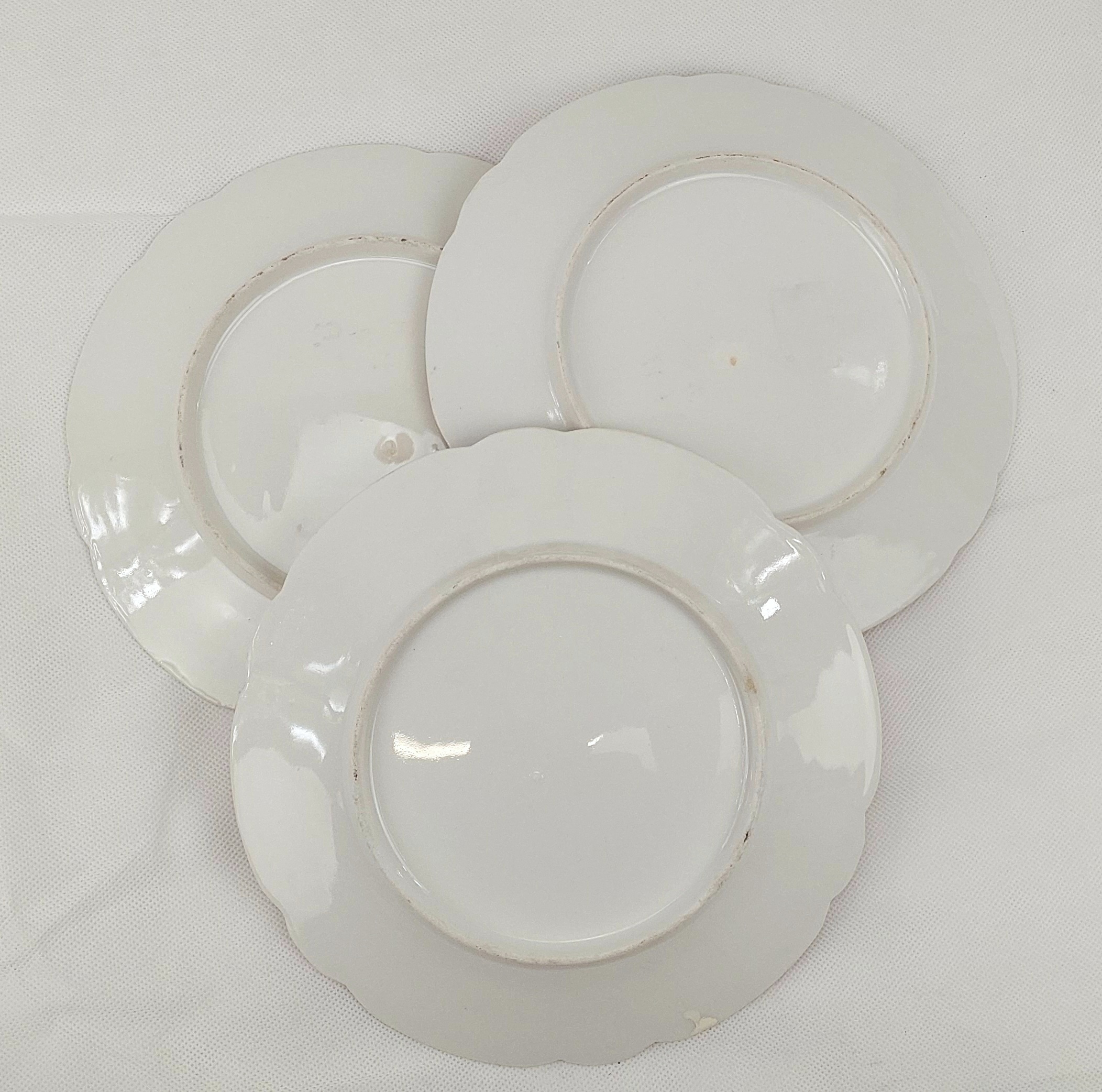 Set Of 6 Circa 1870 Hand Painted Hard Paste Porcelain Plates - Image 11