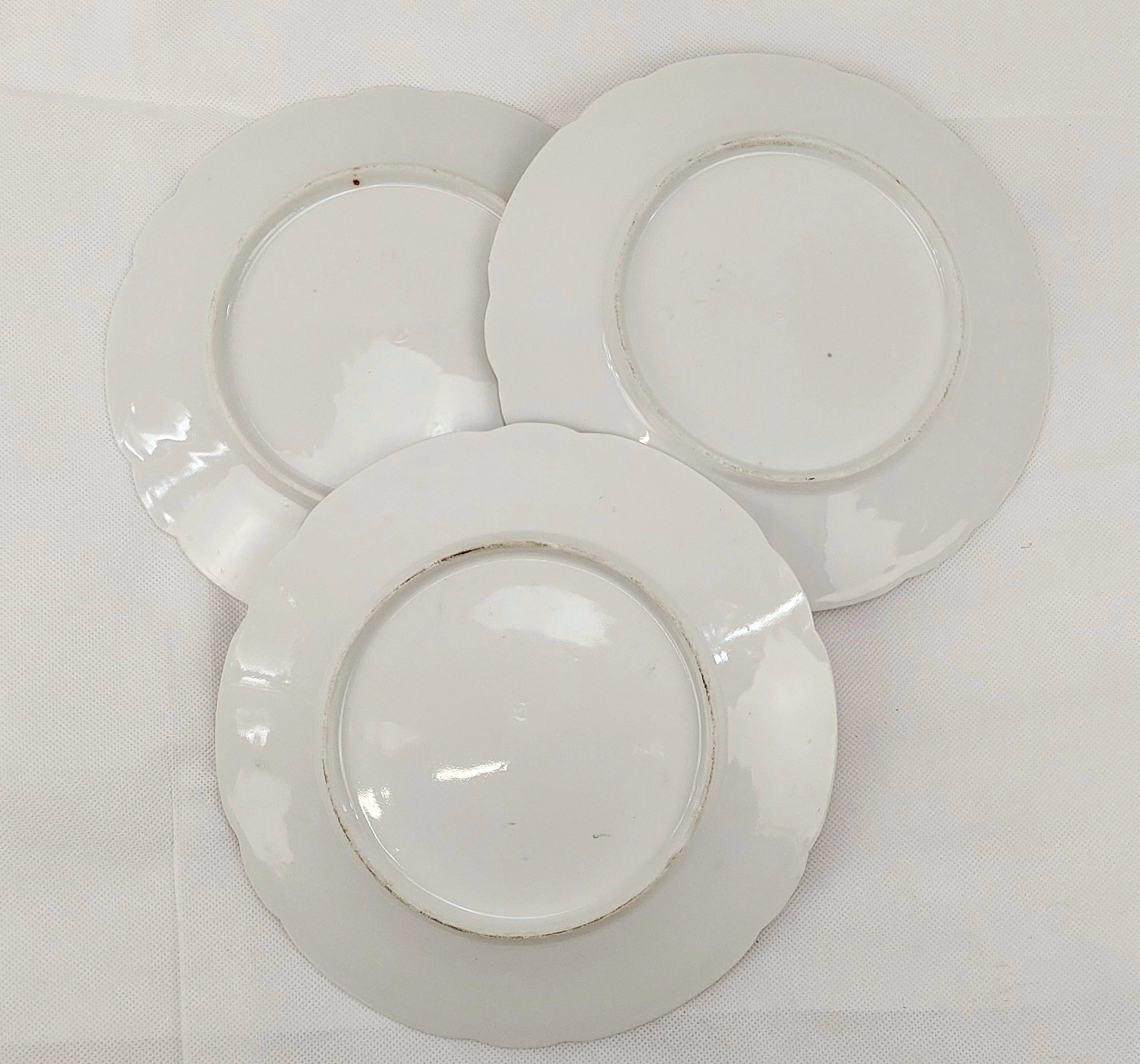 Set Of 6 Circa 1870 Hand Painted Hard Paste Porcelain Plates - Image 9