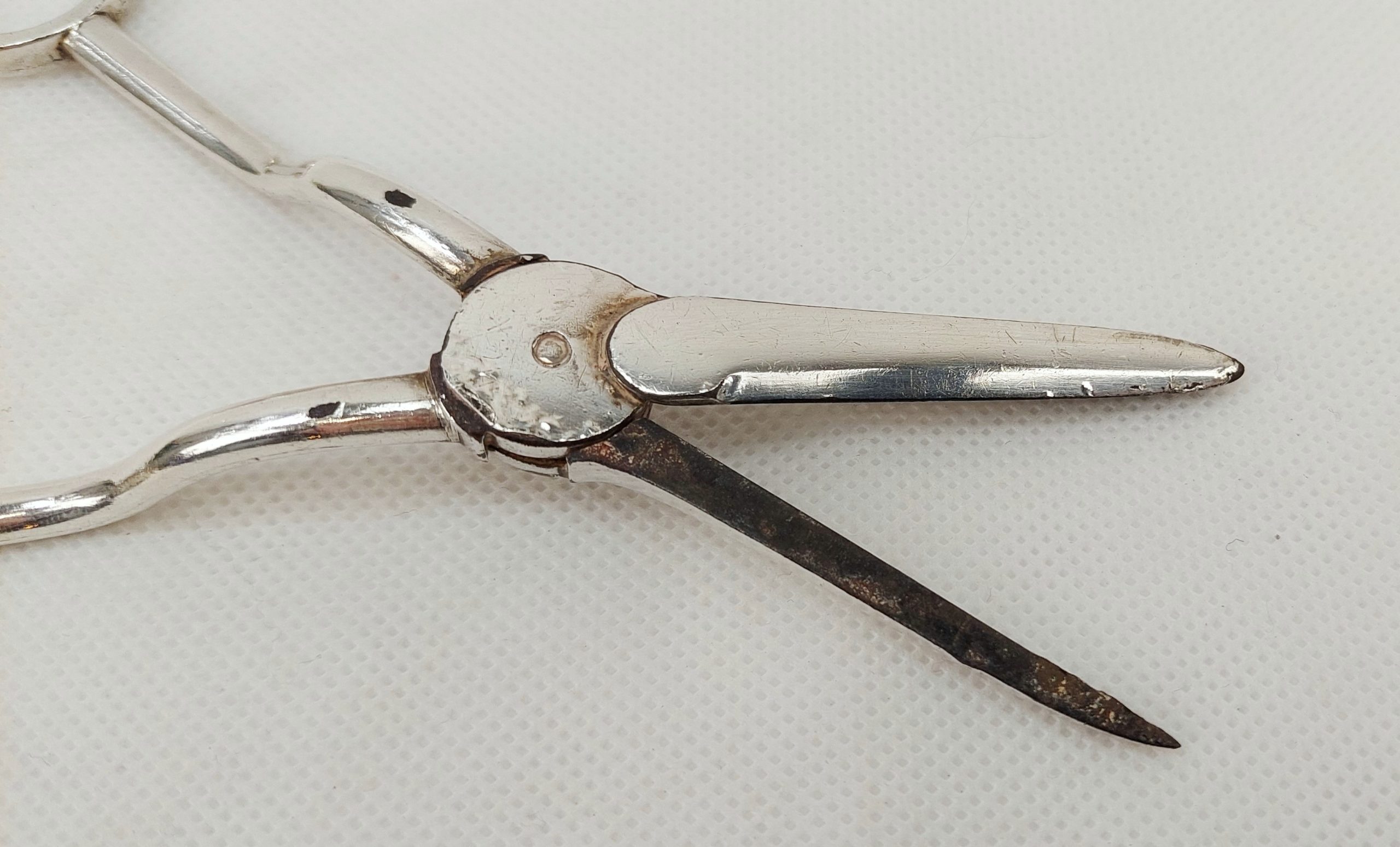Edwardian Silver Plated Grape Scissors - Image 3