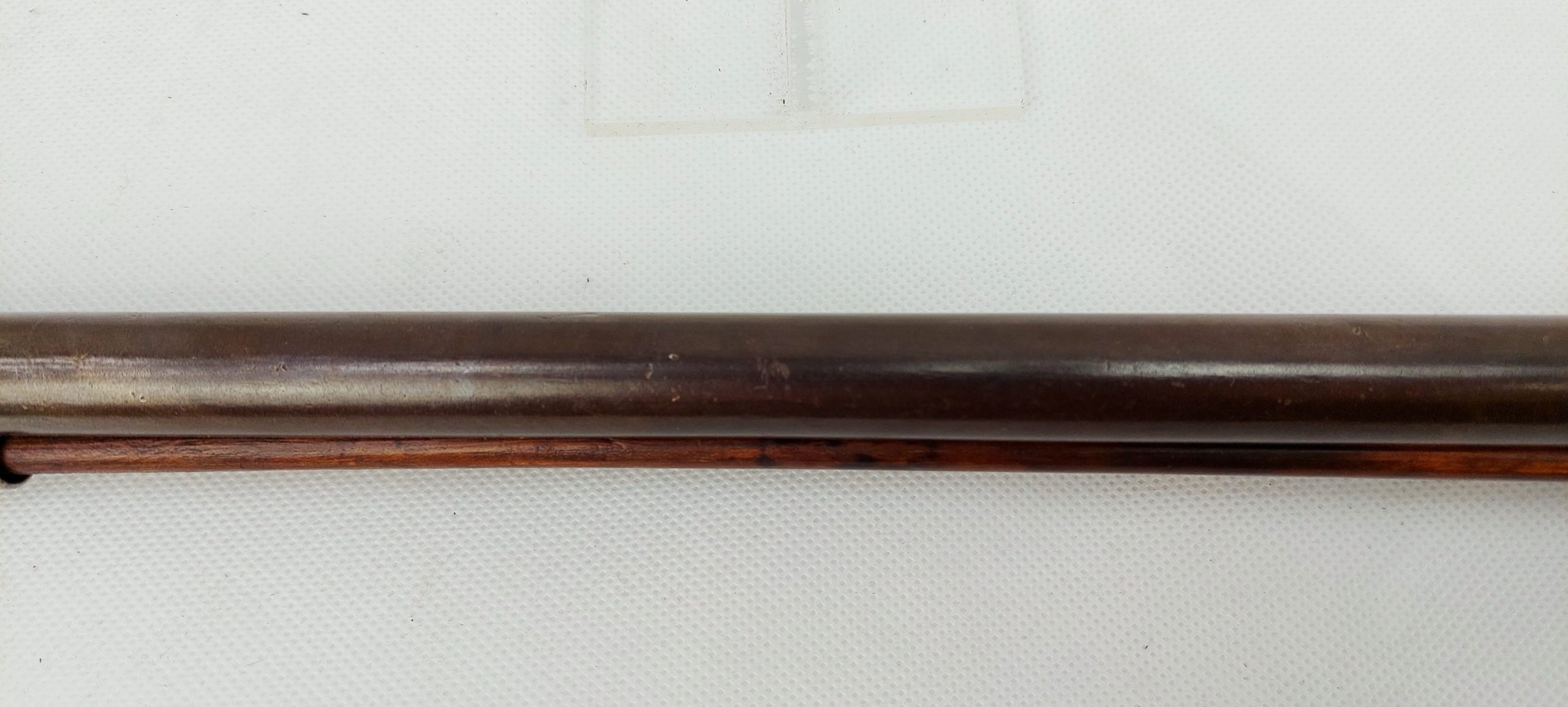 Fine Circa 1750 French Long Gun Muzzle Loader Double Barrel Shotgun Converted To Percussion - Image 3