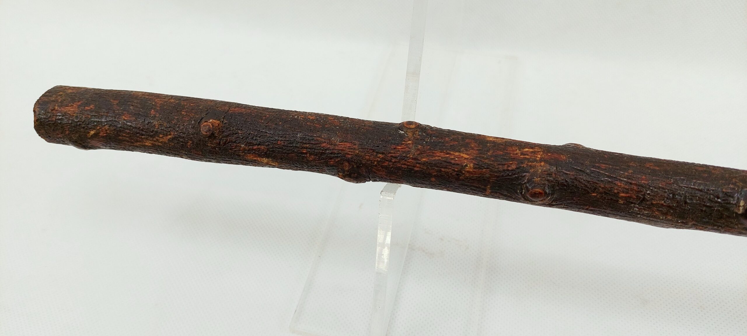 Circa 1810 French Heavy Cuirassier Sword Stick with Napoleon's Head Pommel - Image 12