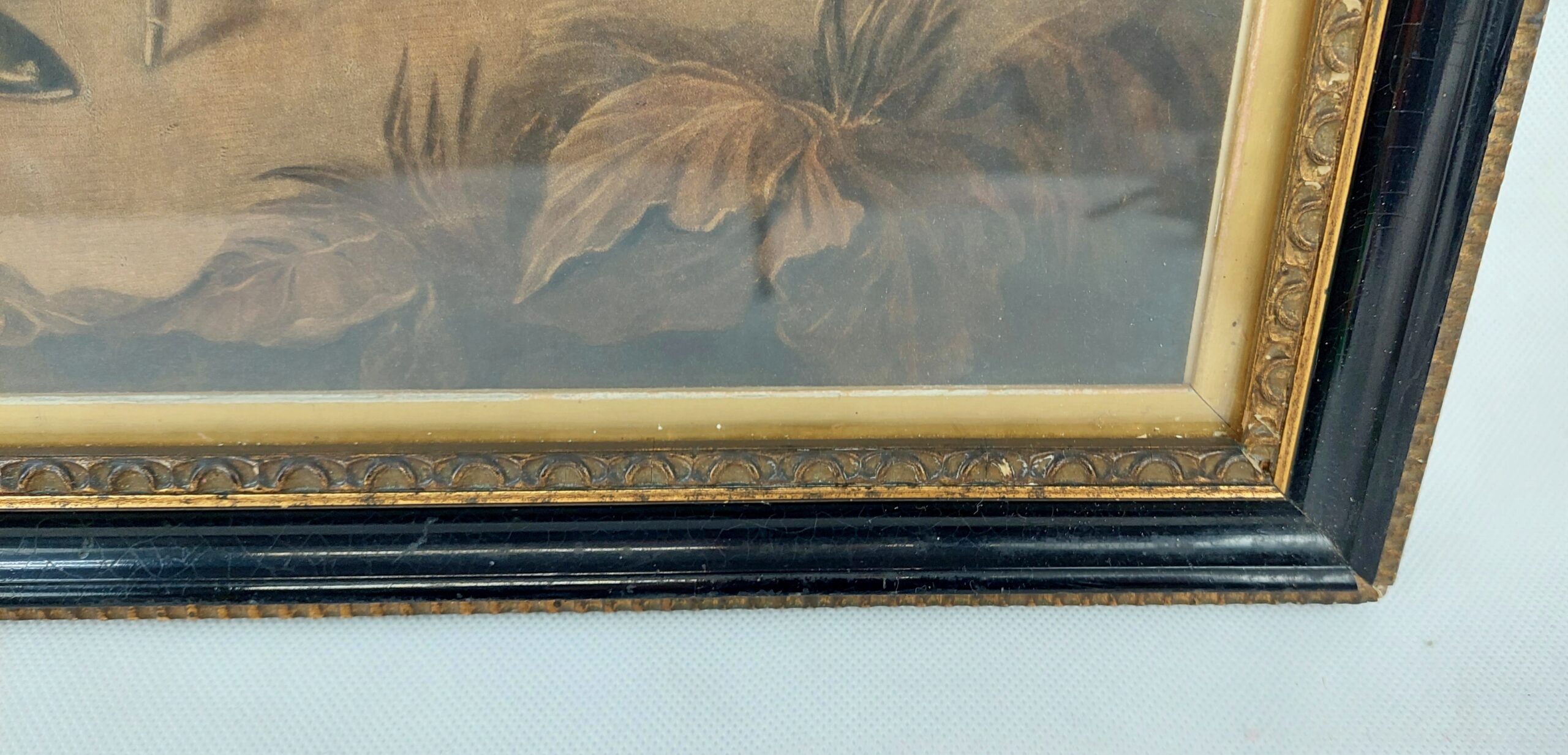 Framed Chromolithographic Print of Lord Nelson - Image 8