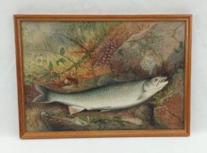 Samuel A. Kilbourne Chromolithograph Lake Trout Fish Published By Scribner’s 1879