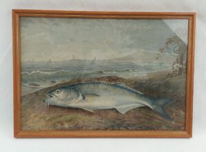 Samuel A. Kilbourne Chromolithograph Sea Bass Fish Scribner’s 1879