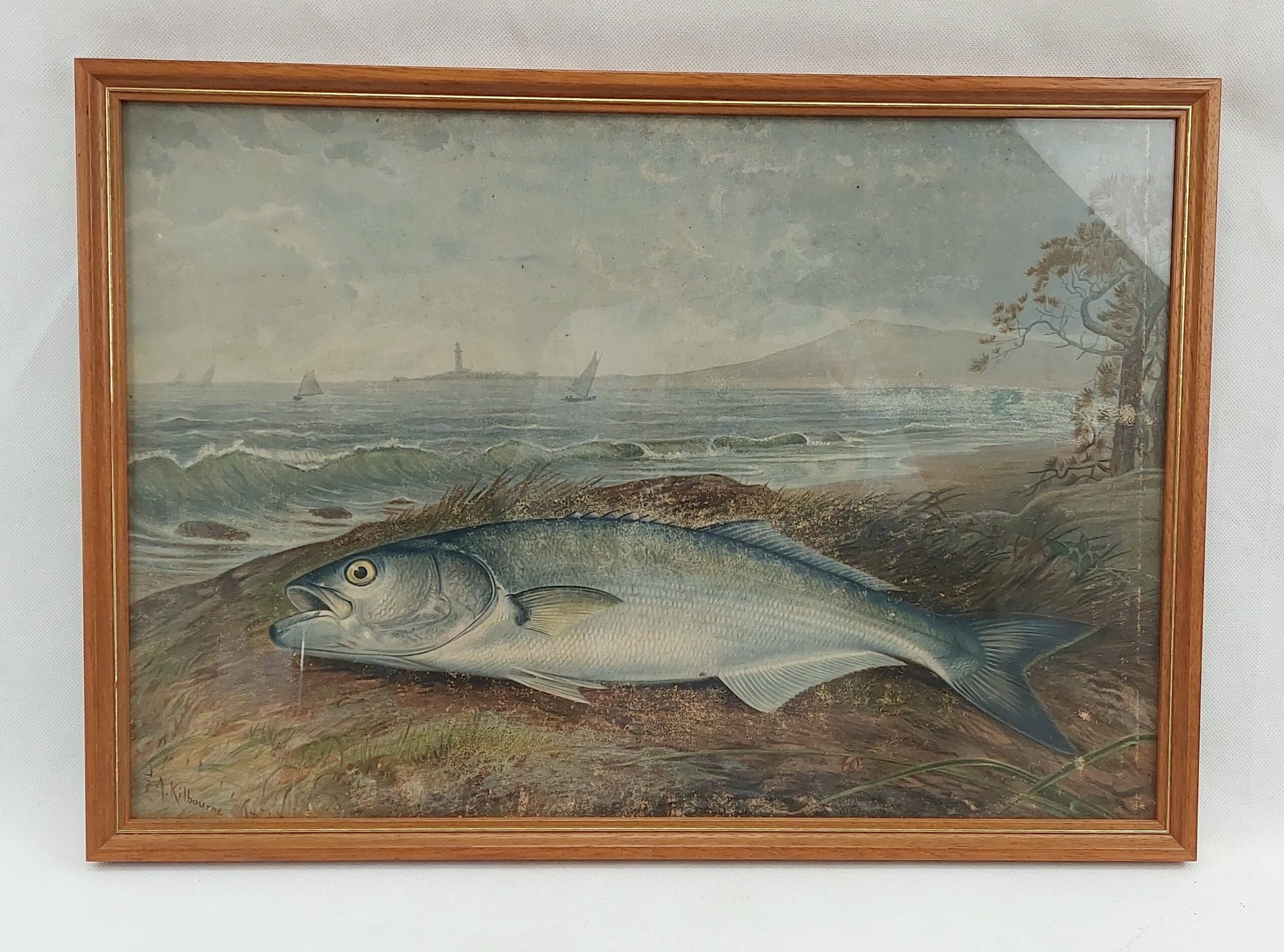 Samuel A. Kilbourne Chromolithograph Sea Bass Fish Scribner’s 1879