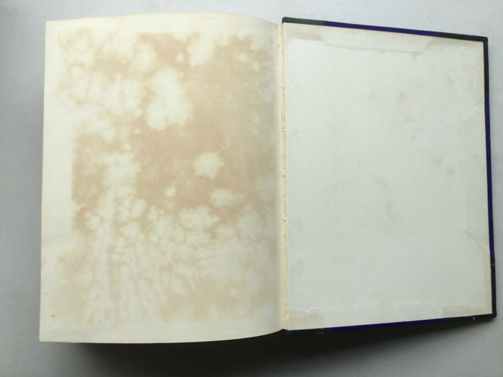 History of Portsmouth by William Gates - original 1900 half leather edition - Image 8