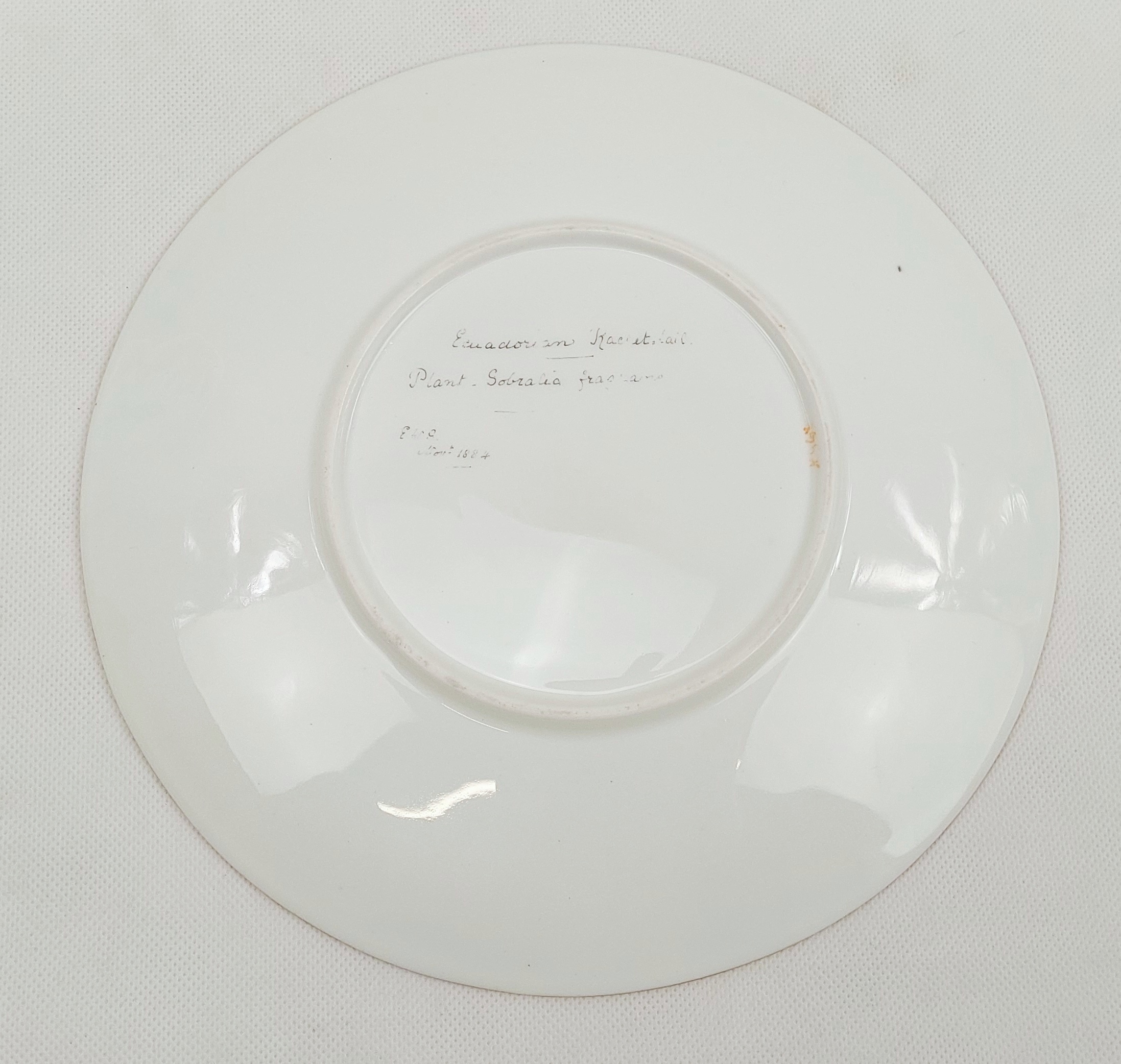 Set of Three Plates Hand Painted with Birds c1885 - Image 12