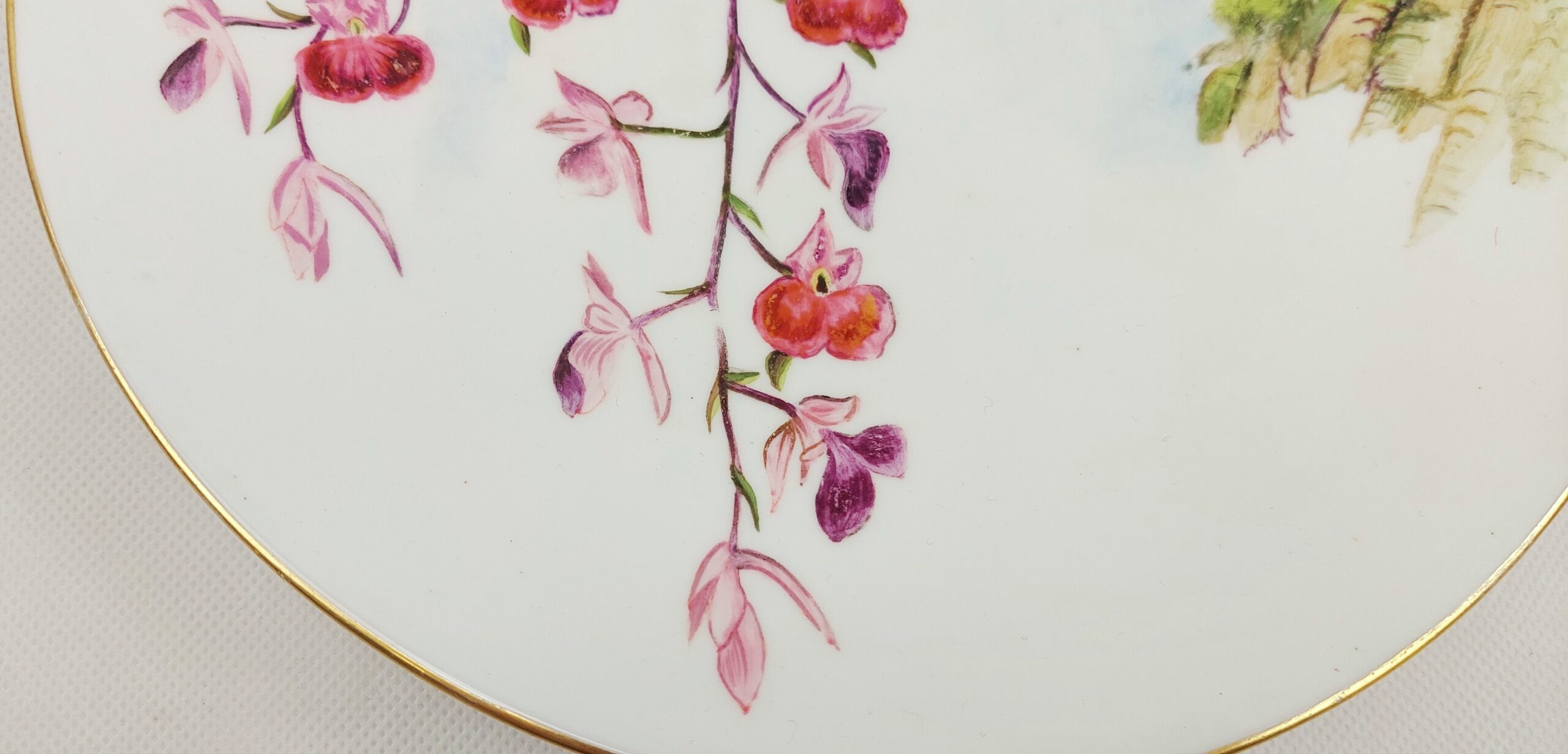 Set of Three Plates Hand Painted with Birds c1885 - Image 16