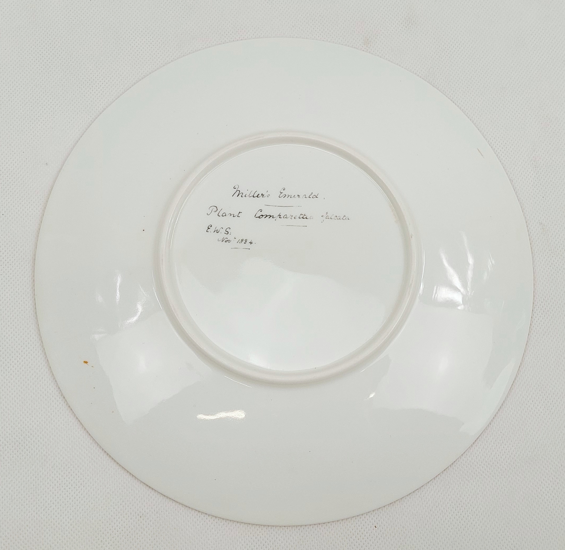 Set of Three Plates Hand Painted with Birds c1885 - Image 17