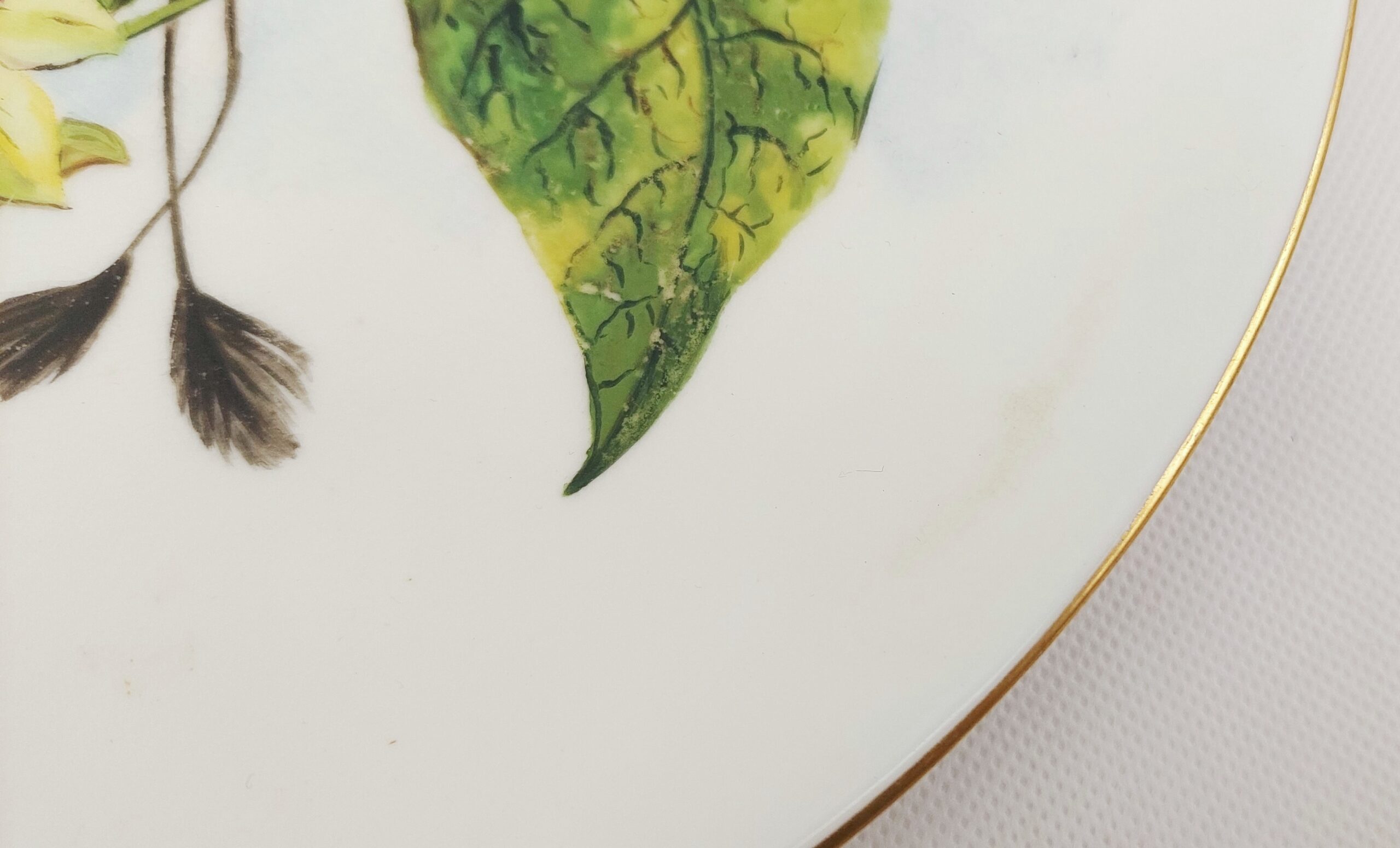 Set of Three Plates Hand Painted with Birds c1885 - Image 5