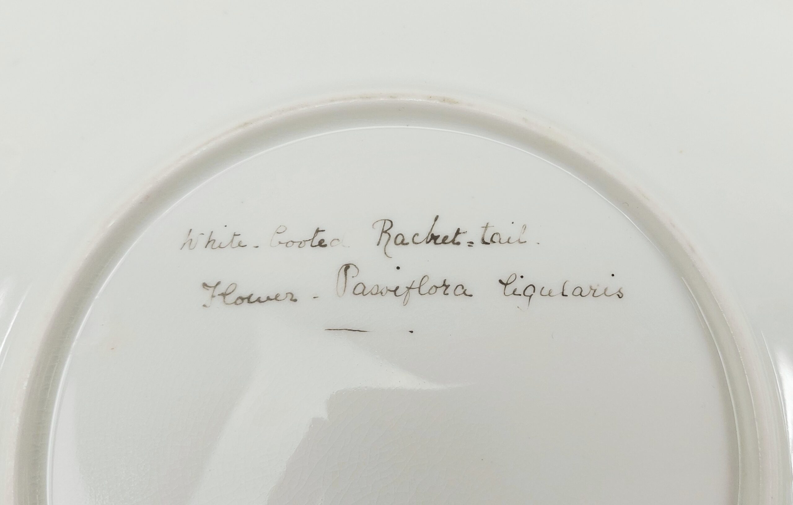 Set of Three Plates Hand Painted with Birds c1885 - Image 7